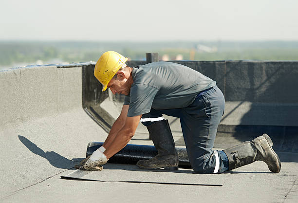 Best Specialized Insulation Services in Nags Head, NC